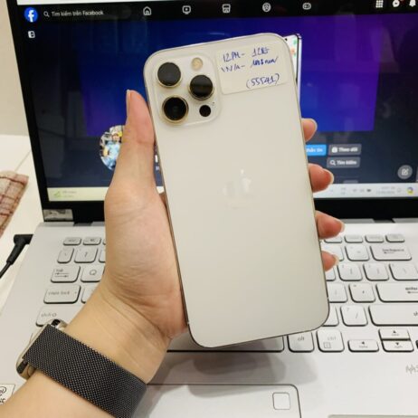 iPhone 12 Pro Max 128GB Trang-1