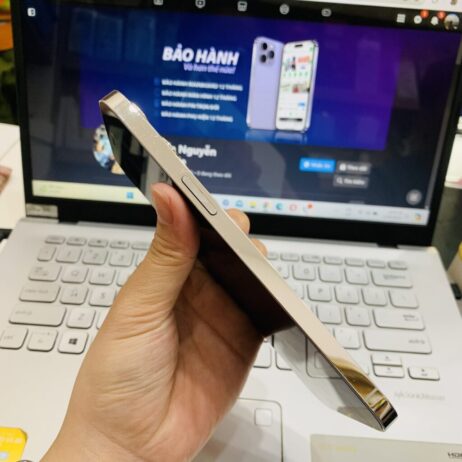 iPhone 12 Pro Max 128GB Trang-3