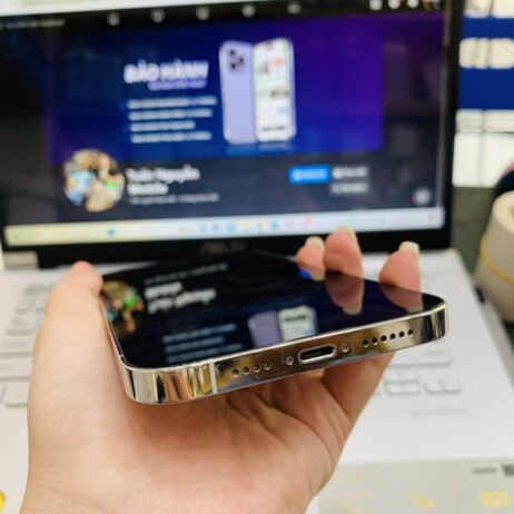 iPhone 12 Pro Max 128GB Trang-5
