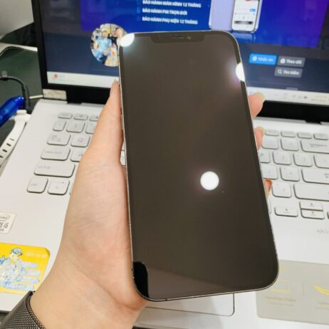 iPhone 12 Pro Max 128Gb Xam-3