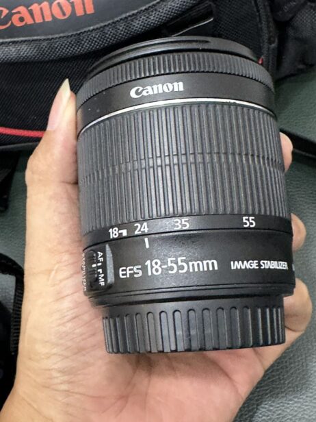 z4901998562441_4a0f16a657c1e2888efc8025153aaf3a