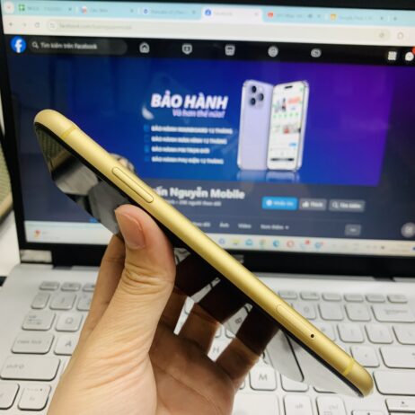 z5099327461008_1cd08ea24d04e850a2e0d033ea0c388b