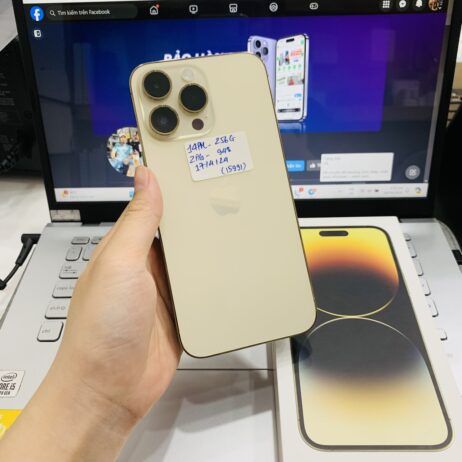 z5315795722417_772e778715fe09974bf780b850356803