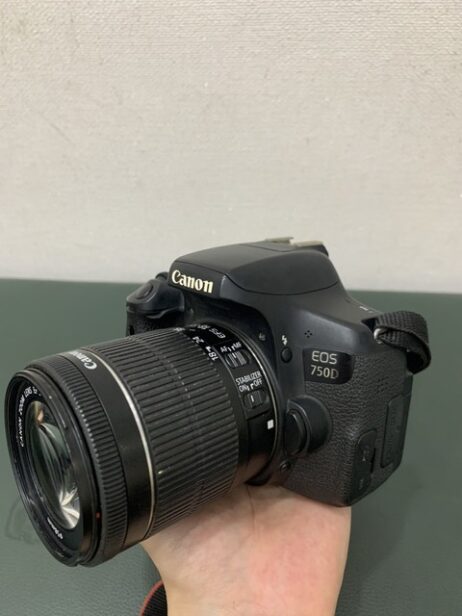 z5328787425900_ae6e15d2c9939f964c4646b539b8adcd