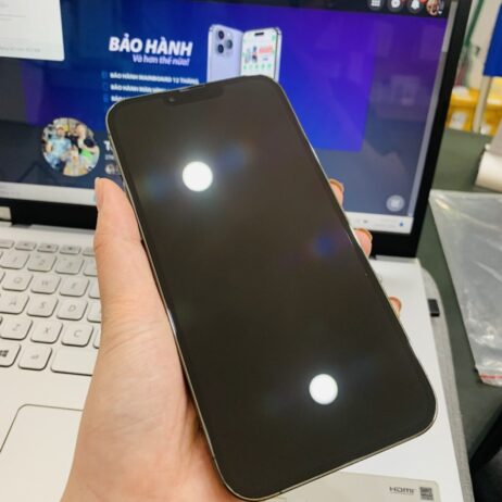 iPhone 13 Pro Max 256G Green-2